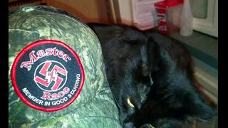 HAT - 'MASTER-RACE., MEMBER IN GOOD STANDING'