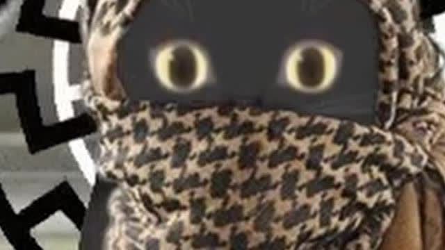 Randbot Ad (Flood REUPLOAD)