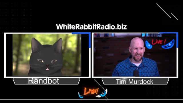 White Rabbit | Replay Waffen | RandBot