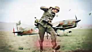 AUSTRIAN PAINTER WW2 EDIT