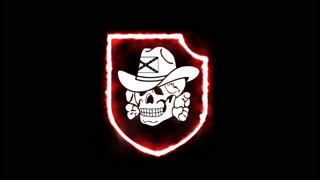 DIXIEWAFFEN LIVE STREAM WHITE POWER WEEKEND