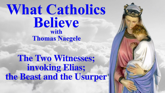 The Two Witnesses; invoking Elias; the Beast and the Usurper