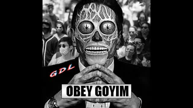 Mask Shaming Venice Blvd. Clean version Please Share!