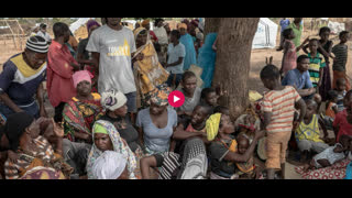 Basic Facts About Race in 13 Minutes - Jared Taylor