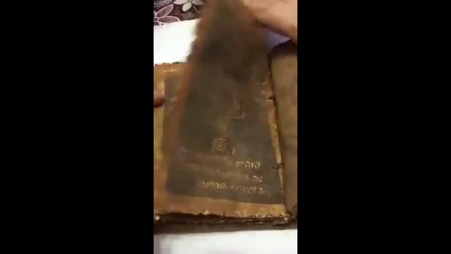 Ancient Torah Ft. Baphomet