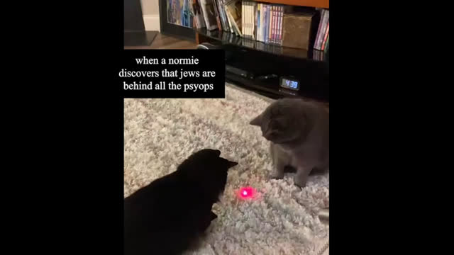 When a Normie Discovers that jews are Behind all The Psyops