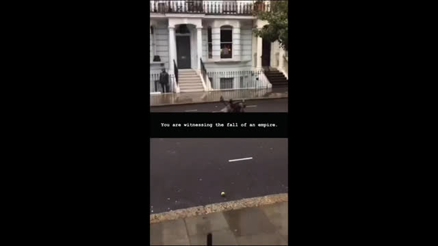 N!gger Fatigue - Compilation 10