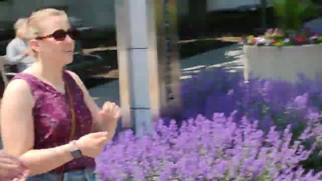 Trying To Outrun Paid Anti #ICE Agitators