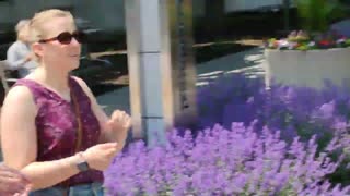 Trying To Outrun Paid Anti #ICE Agitators