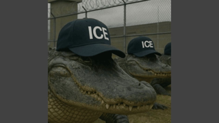 SYSTEMATIC PHYSICAL REMOVAL