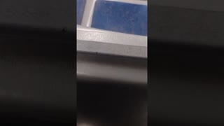 More Public Transit Diversity ASMR