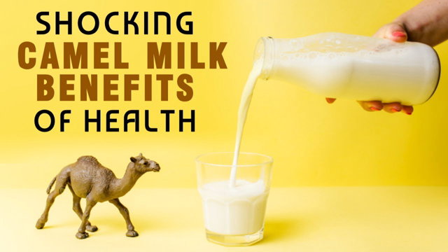 8 Shocking Camel Milk Benefits for Health