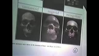 Are We All Equal? Wickstrom