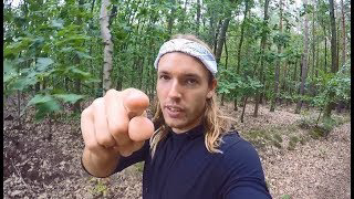 The Acid / Alkaline Deception - Another Vegan Scam