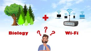 Does Wi-Fi Affect Biology? | Science Experiment | TFN Network