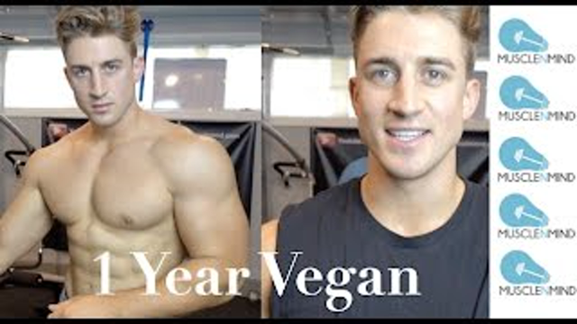 1 Year of Vegan Bodybuilding - My Vegan Transition