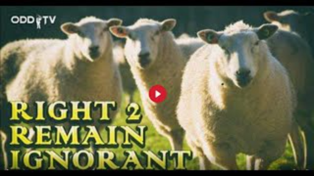 O.D.D TV | RIGHT 2 REMAIN IGNORANT (FEAT. STEVE GRANT)