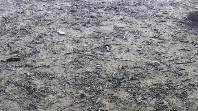 The blueness of skies