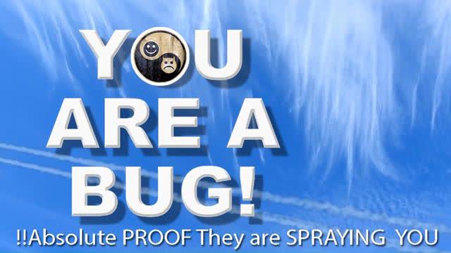 You Are a Bug! -- That's Why They SPRAY You!