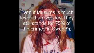 Sweden rapes and problems