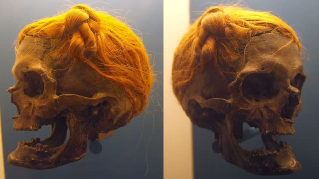 VertigoPolitix   Ancient Crack, and the Refutation of We Were Kings   (Please read below)