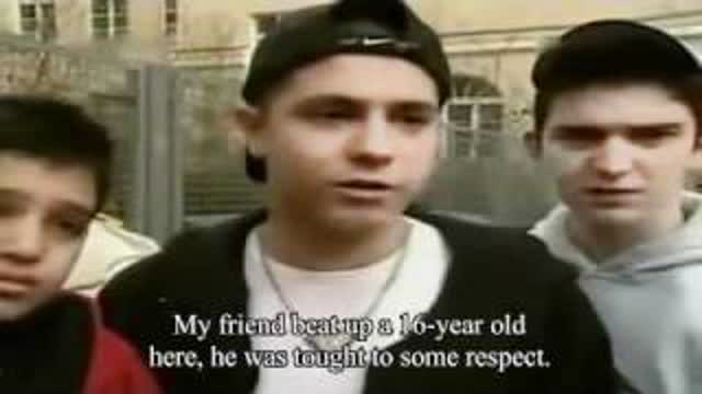 The Effects of Recent Immigration in Germany