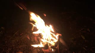 They are threatening innocent White children