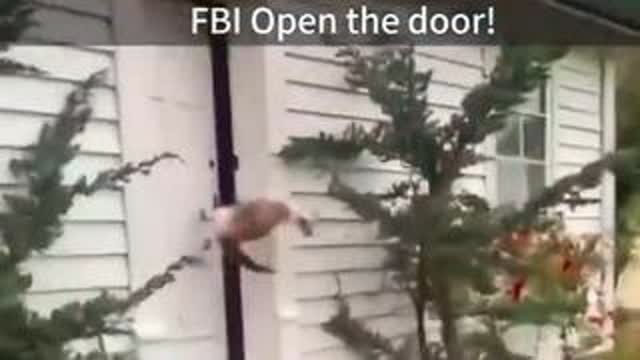 FBI to employ a Cat division they have dubbed 'Social Media Post Enforcement'