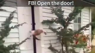 FBI to employ a Cat division they have dubbed 'Social Media Post Enforcement'