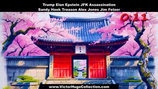 Warrior In The Garden Trump Elon Epstein JFK Assassination Sandy Hook Treason Alex Jones Jim Fetzer