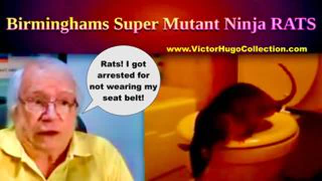 UK Releases Man Made Plague Of Super Mutant Ninja Rats To Depopulate Britain Europe America EurAsia