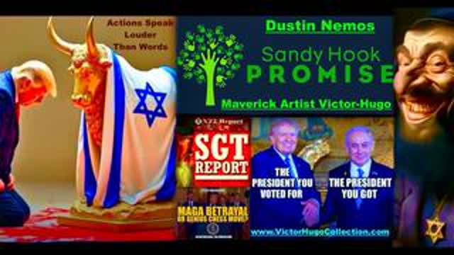 Dustin Nemos Victor Hugo Expose SGT Report X22 Report Michael Flynn Jim Fetzer Sandy Hook Promise