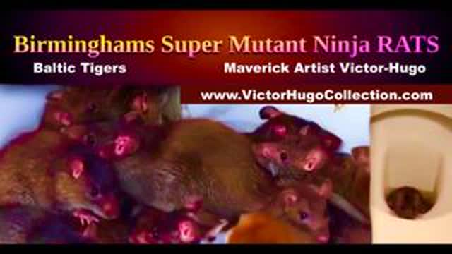 World Media Covers Up Man Made Birmingham Mutant Rat Plague Created To Depopulate Planet Agenda 2030