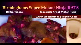 World Media Covers Up Man Made Birmingham Mutant Rat Plague Created To Depopulate Planet Agenda 2030