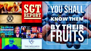 Viewers Vindicate Amazing Polly Claim SGT Report X22 Report Are Gatekeepers Hemorrhaging Followers