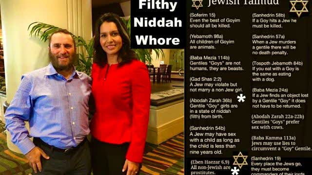 Trump Picks Doctor Oz Rabbi Buttplug Shmuley Hugs As Per Talmud Filthy Niddah Whore Tulsi Gabbard