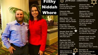 Trump Picks Doctor Oz Rabbi Buttplug Shmuley Hugs As Per Talmud Filthy Niddah Whore Tulsi Gabbard