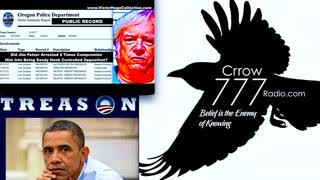 Crrow777 Explains Why Jim Fetzer Is Desperately Trying To Hide His Role In Sandy Hook Treason Trials