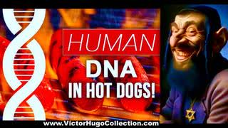 Rothschilds Rule World Human DNA Found In Meat Supply JewSA Corrupt Courts Victor Hugo Jay Dunlap