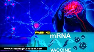WARNING mRNA Vaccine Cause Systemic Vasculitis Attacking Vessels Throughout Body Destroy Brain Cells