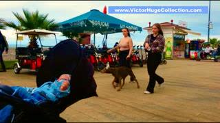 Epstein Donald Trump Pam Bondi Bill Gates Global Genocide Ben Shapiro Joe Rogan Alt News Gatekeepers