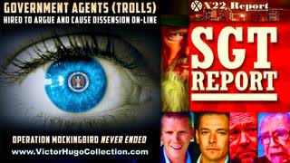 SGT Report X22 Report Dan Bongino Jim Fetzer Stew Peters Expose Alt News Media Operation Mockingbird