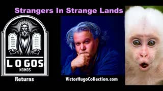 Strangers In A Strange Land White Monkeys In China Old Devil In Vietnam Logos Nomos Victor Hugo