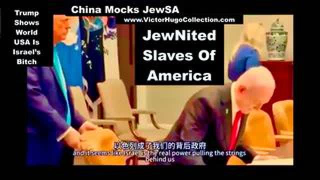 Bitcoin Reaches New High China Trump Show World USA Is The Bitch Of Israel Black On White Crime Pays