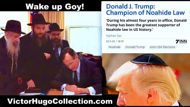 Modern Serfdom Carries Out Protocols Of Elders Of Zion Depopulation Plan Curtis Griffin Victor Hugo