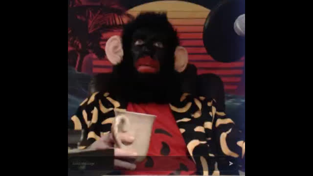 Do you like Whitney Houston?