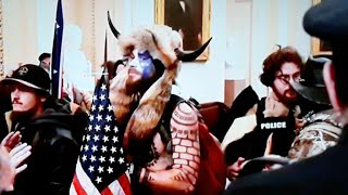 The Pigeon Peckers have Infiltrated the Trumptard Movement