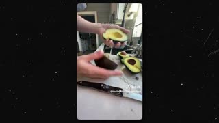 Fake Food, Mar 9, 2025