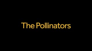 The Pollinators, Nov 15, 2023
