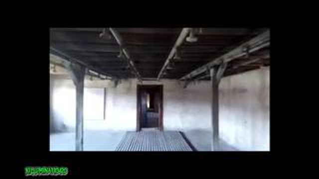 Killuminati - Gas Chamber Lie - Showers for Showering, May 17, 2025